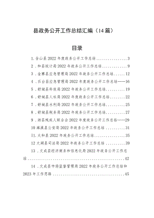 2022年县政务公开工作总结汇编（14篇）.docx