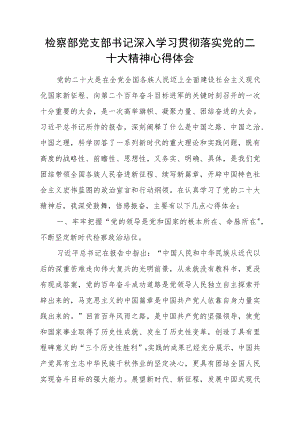 检察部党支部书记深入学习贯彻落实党的二十大精神心得体会.docx