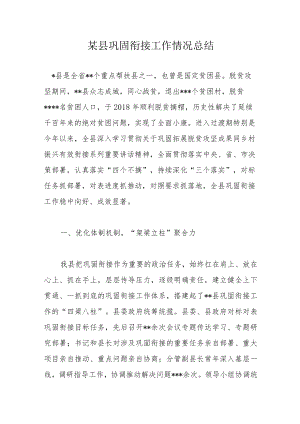 某县巩固衔接工作情况总结.docx