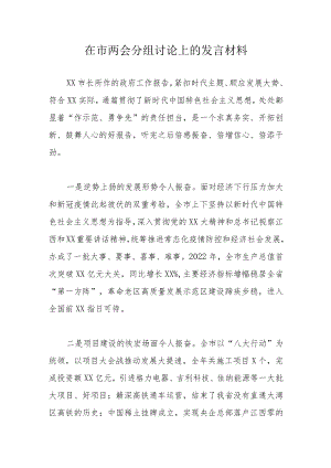 在市两会分组讨论上的发言材料.docx