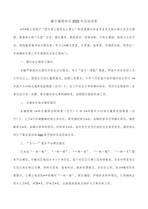 镇长镇级林长2022年总结述职.docx