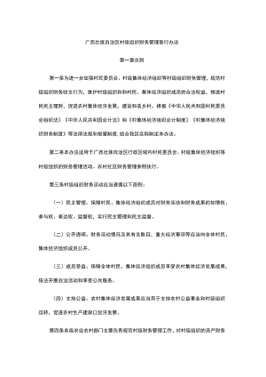 广西壮族自治区村级组织财务管理暂行办法.docx
