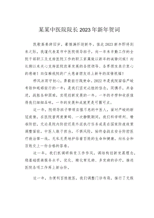 某某中医院院长2023年新年贺词.docx
