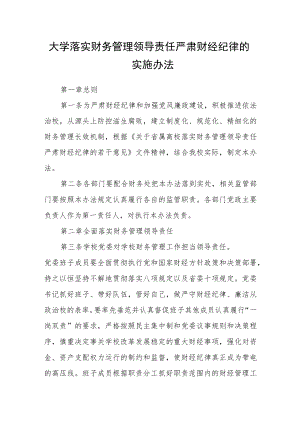 大学落实财务管理领导责任严肃财经纪律的实施办法.docx