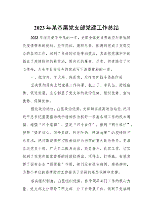 2023年某基层党支部党建工作总结.docx