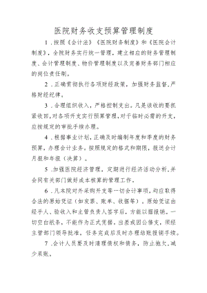 医院财务收支预算管理制度.docx