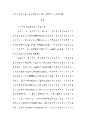 (3篇)关于扎实推进第二批主题教育走深走实研讨发言材料汇编.docx