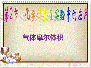 气体摩尔体积99.ppt