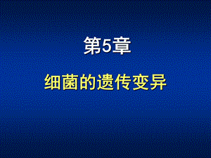 第05章细菌的遗传变异ppt课件名师编辑PPT课件.ppt
