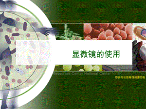 显微镜的使用.ppt