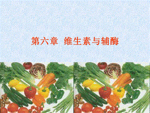 水溶性维生素与辅酶.ppt