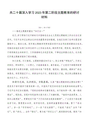 共二十篇深入学习2023年第二阶段主题教育的研讨材料.docx