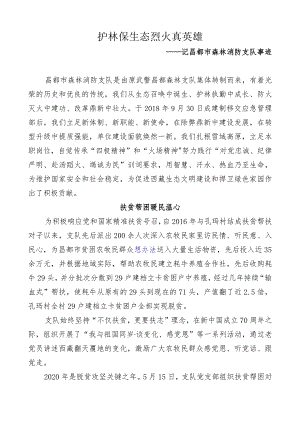 30昌都市森林消防支队部分事迹11.docx