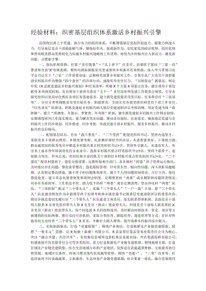 经验材料：织密基层组织体系激活乡村振兴引擎.docx