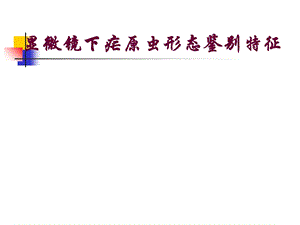 显微镜下疟原虫薄血膜形态鉴别特征.ppt