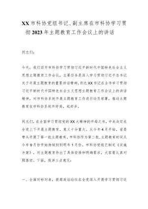 XX市科协党组书记、副主席在市科协学习贯彻2023年主题教育工作会议上的讲话.docx