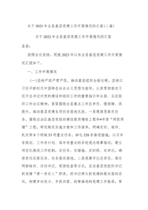 关于2023年全县基层党建工作开展情况的汇报(二篇).docx