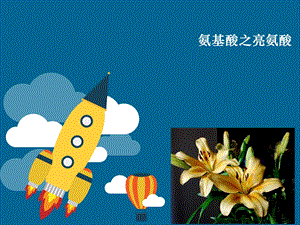 氨基酸之亮氨酸.ppt