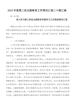 2023年度第二批主题教育工作情况汇报二十篇汇编.docx