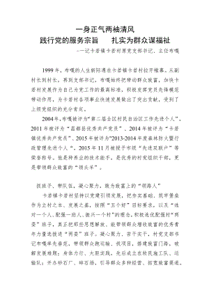 19.布嘎 践行党的服务宗旨 扎实为群众谋福祉.docx