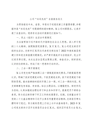 公司“未巡先改”自查报告范文·三会一课发展党员党费企业工作汇报总结.docx