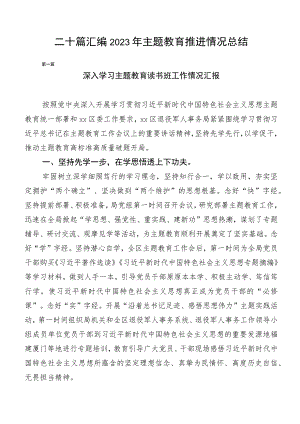 二十篇汇编2023年主题教育推进情况总结.docx