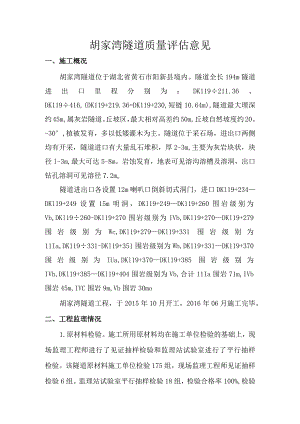 4胡家湾隧道质量评估意见.docx