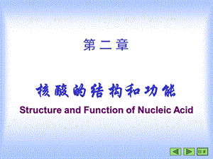 第02章核酸备课用.ppt