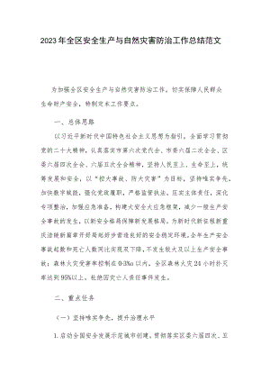 2023年全区安全生产与自然灾害防治工作总结范文.docx
