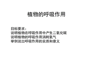 植物的呼吸作用.ppt