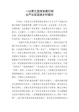 一以贯之坚持党建引领 从严从实促进乡村振兴.docx