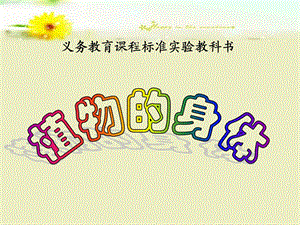 植物的身体——说课课件.ppt