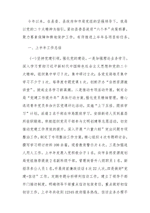 2023年上半年自然资源和规划工作总结.docx