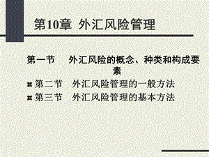 第10章外汇风险管理.ppt