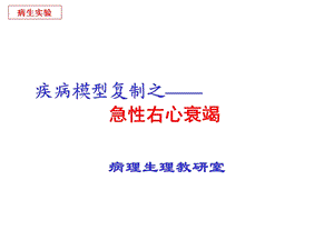 疾病模型复制之急性右心衰竭.ppt