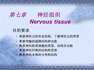 第07章神经组织.ppt