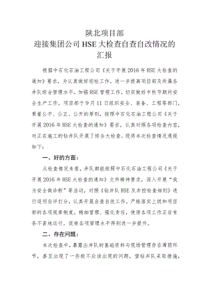 陕北项目自查自改情况总结.docx
