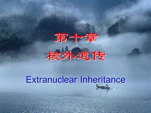 第10章核外遗传.ppt