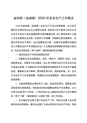 金科园金城镇2020年安全生产工作要点.docx