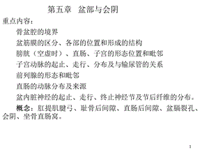 盆部局解.ppt