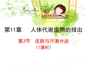 第11章人体代谢废物的排出名师编辑PPT课件.ppt