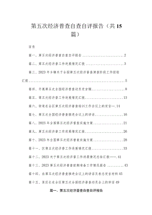 第五次经济普查自查自评报告（共15篇）.docx