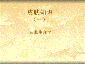 皮肤基础知识入门关于了解皮肤和护肤化妆学.ppt