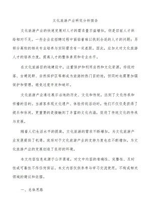 文化旅游产业研究分析报告.docx