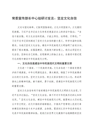 常委宣传部长中心组研讨发言：坚定文化自信.docx