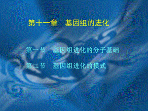 第11章基因组的进化.ppt
