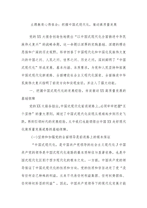 主题教育心得体会：把握中国式现代化推动高质量发展.docx