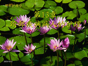 第13章颈部疾病病人的护理.ppt