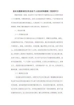 县长主题教育民主生活会个人发言材料提纲.docx