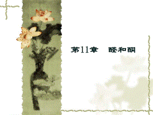 第11章醛和酮.ppt